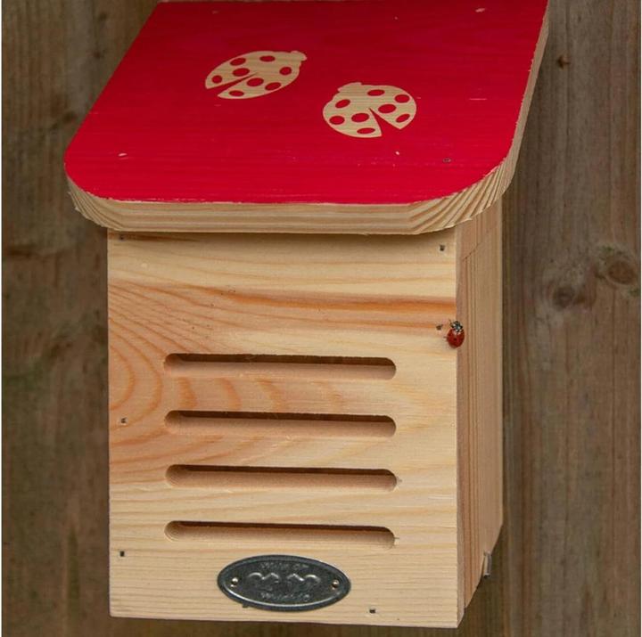 Image du produit Esschert Design Maison des coccinelles (Coccinelles)