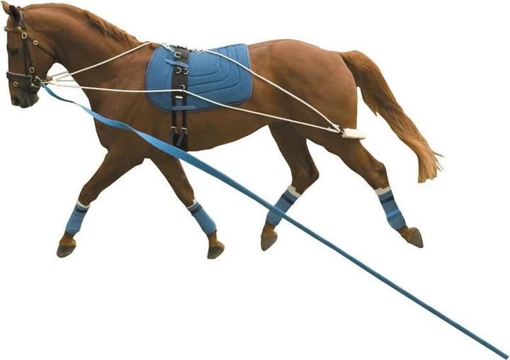 Actual product image Kincade Horse surfaix