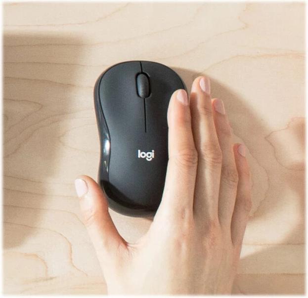 Actual product image Logitech MK295 Silent (Eng. Int., Wireless)