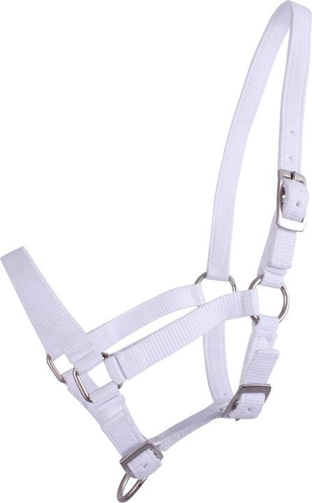 Produktbild Qhp Fohlenhalfter