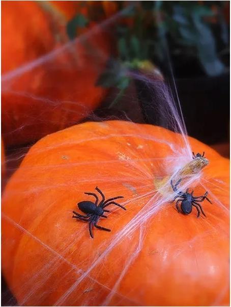 Actual product image Partydeco Spiders (10 pcs.)