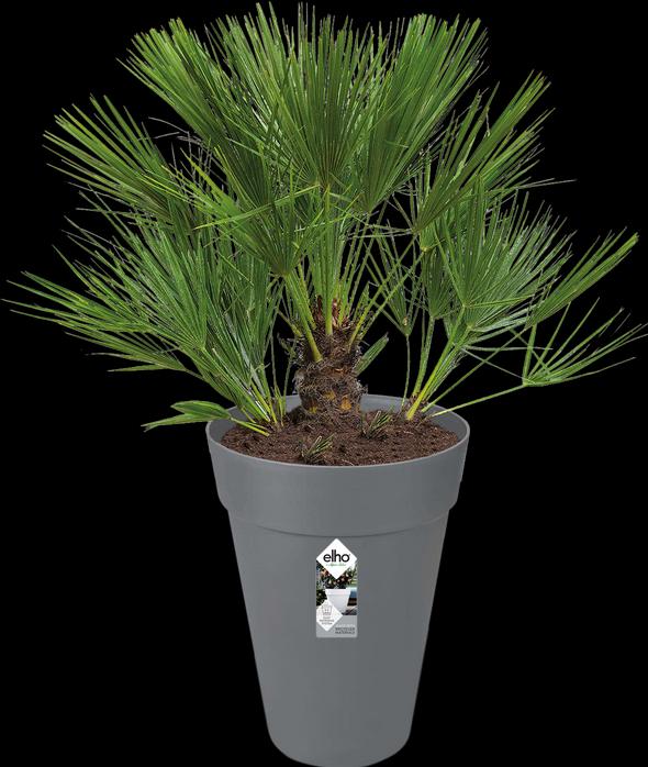 Image du produit Elho Loft urbain (33.50 cm)