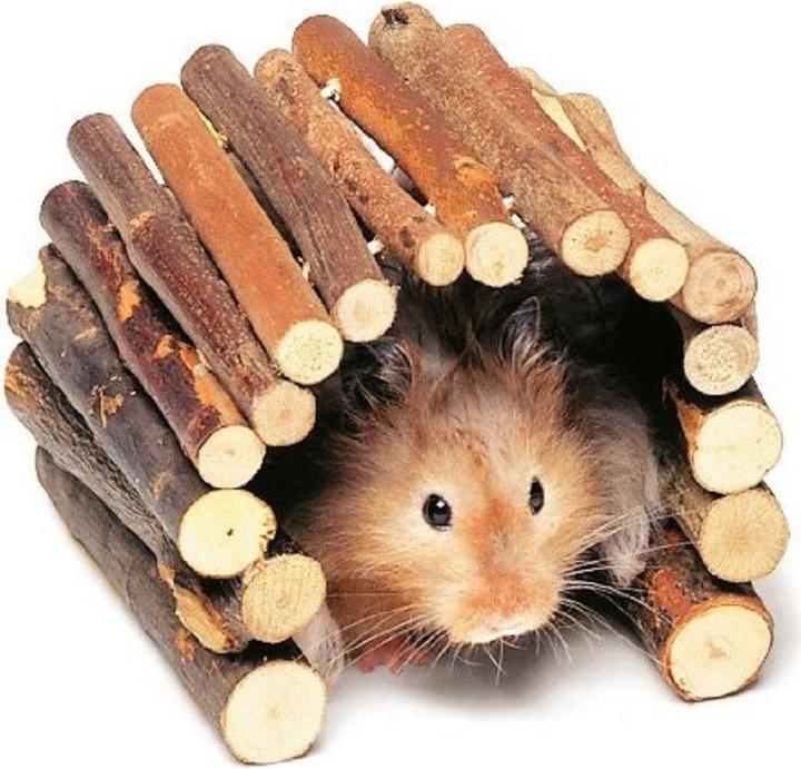 Immagine prodotto Karlie Paese delle meraviglie