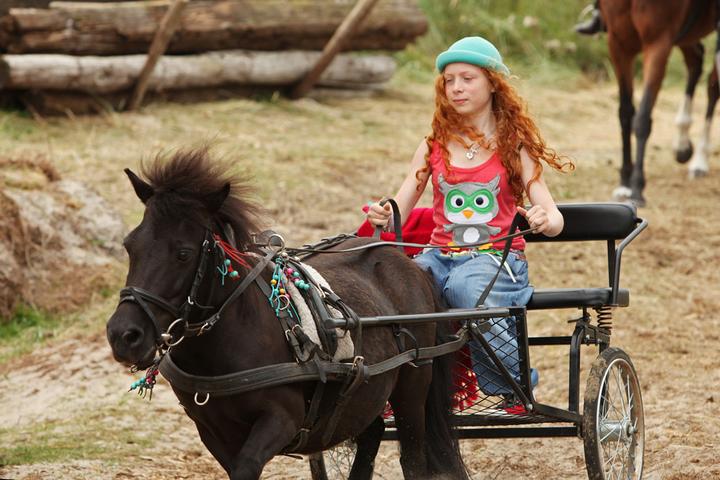 Actual product image My Friend Shadow Adventures on Horse Island (DVD, 2012, German, Dutch)