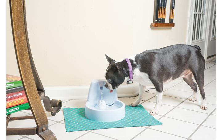 Produktbild Drinkwell Original