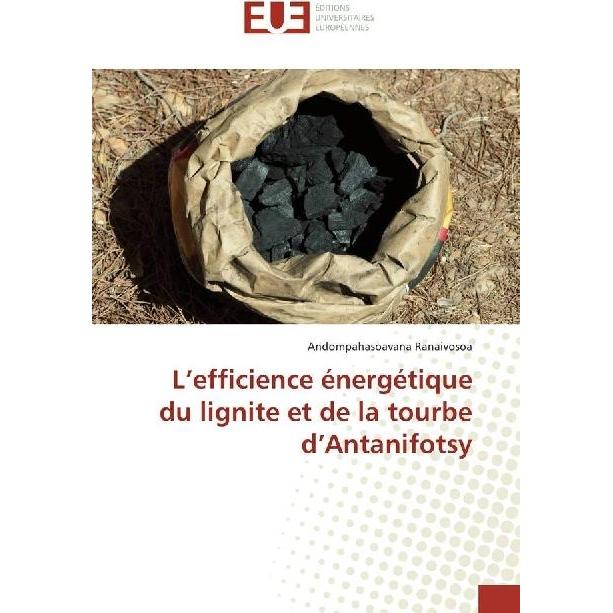 L'efficience énergétique du lignite et de la tourbe d'Antanifotsy, Ratgeber von Andompahasoavana Ranaivosoa