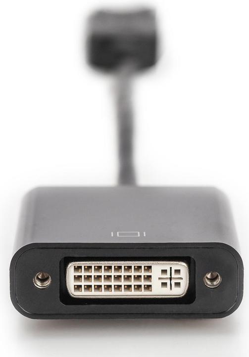 Produktbild Digitus DisplayPort — DVI (DVI, 15 cm)