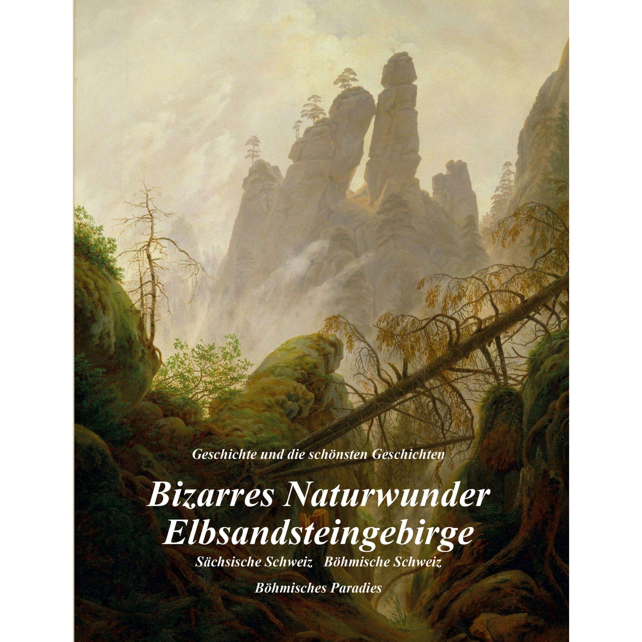 Bizarres Naturwunder Elbsandsteingebirge, Ratgeber von Ulrich Metzner