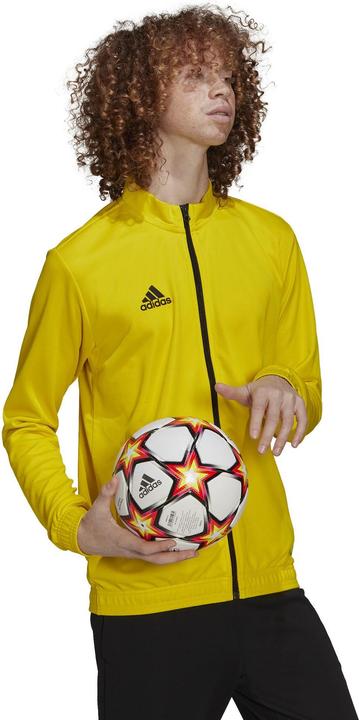 Produktbild adidas Entrada 22 Trainingsjacke Herren (XS)