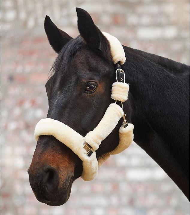 Immagine prodotto Waldhausen Cozy