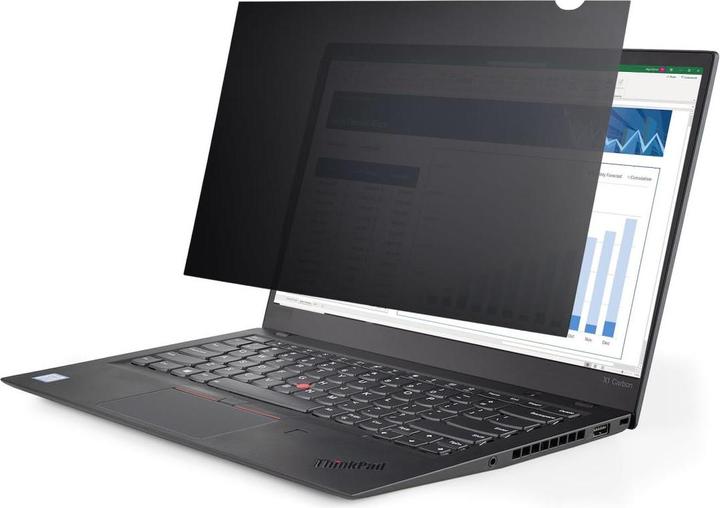 Actual product image 3M Bp173W9B Display Privacy (17.30", 16 : 9)