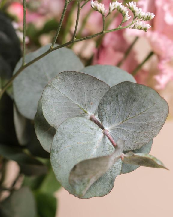 Image du produit feey Ballerine Avec Vase (Rose) (Fleurs coupées, 13x)