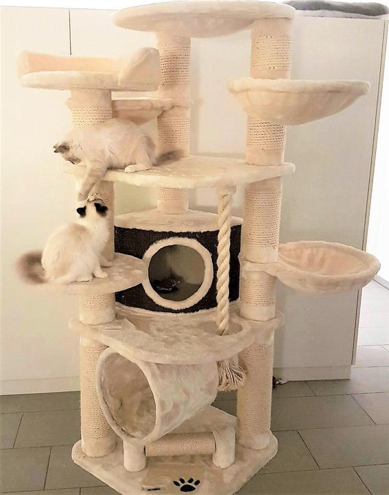 Produktbild Pet Homes Long Beach (192 cm, Beige)