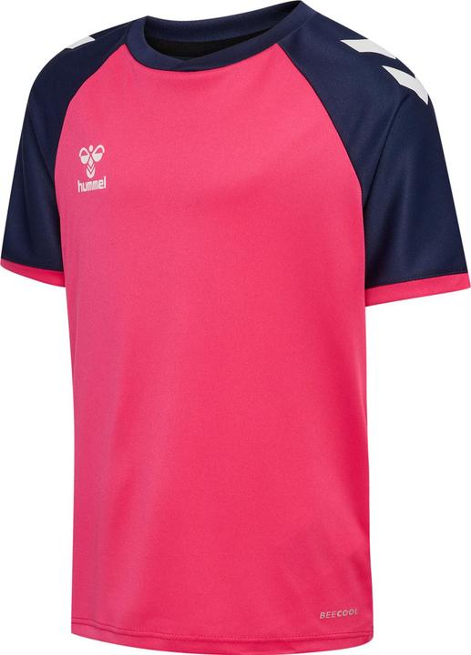 raspberry sorbet marine