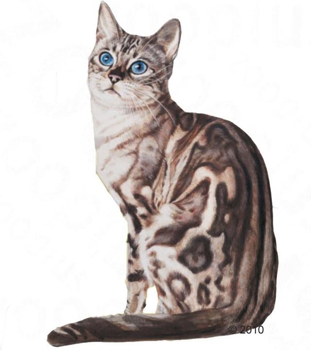 Image du produit Royal Canin Instinctive en gelée (48 pcs, 85 g)