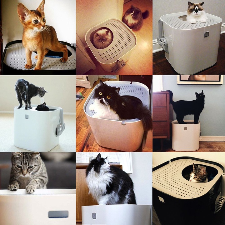 Produktbild Modko Katzentoilette Modkat