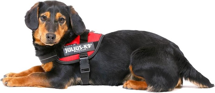 Produktbild Julius-K9 IDC®-Powergeschirr Grösse 3: Brustumfang 82 - 115 cm (3, Hund, Allgemein)