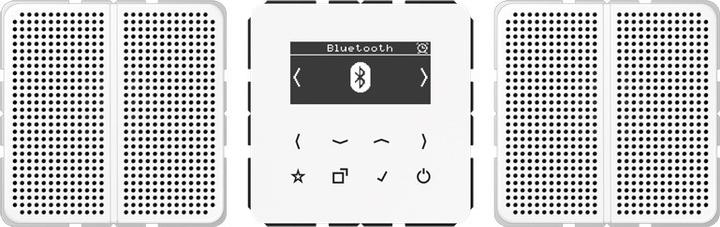 Actual product image JUNG DABCD2BTWW Smart RadioDA (DAB+, FM, Bluetooth, Wi-Fi)