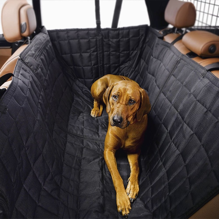 Image du produit Kleinmetall confort de tous les côtés (Chien)