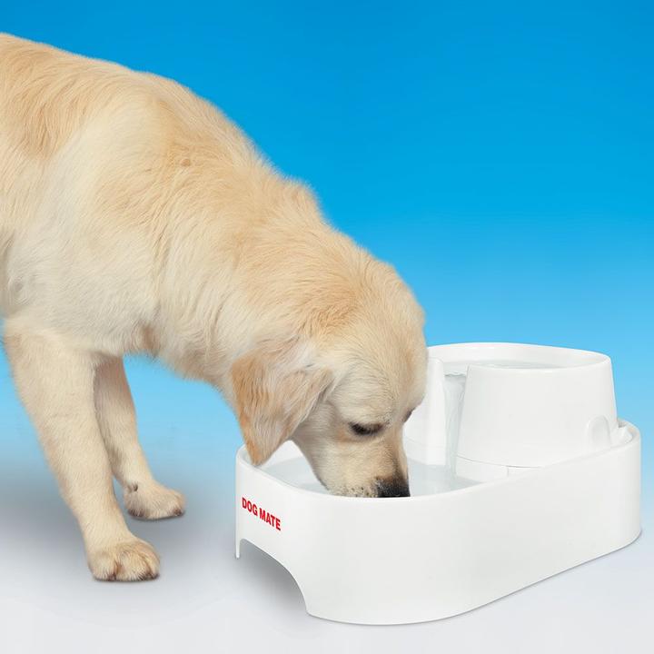 Produktbild Dog Mate Trinkbrunnen (600 cl)