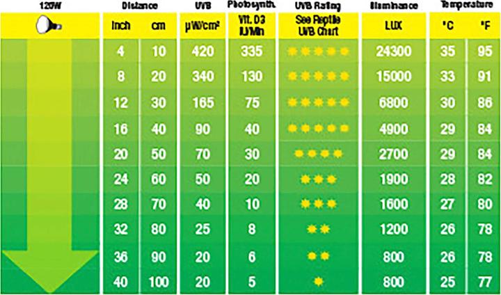 Image du produit Exo Terra Lampe Solar Glo (UVB, UVA)