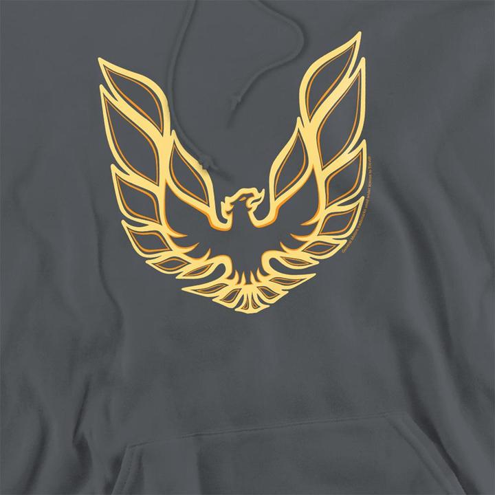 Produktbild Pontiac Iconic Firebird Kapuzenpullover (S)