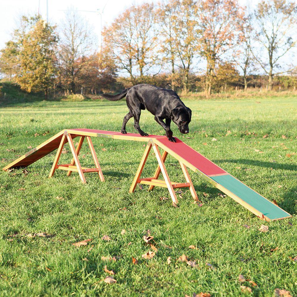 Trixie Activity (Hundespielzeug), Hundespielzeug