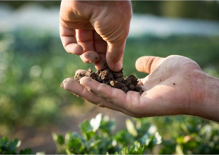 Image du produit Defu Alimentation biologique Senior (Senior, 1 pcs, 12500 g)