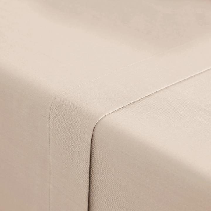 Image du produit La Redoute Interieurs Scenario Coton (Drap, 150 x 250 cm)