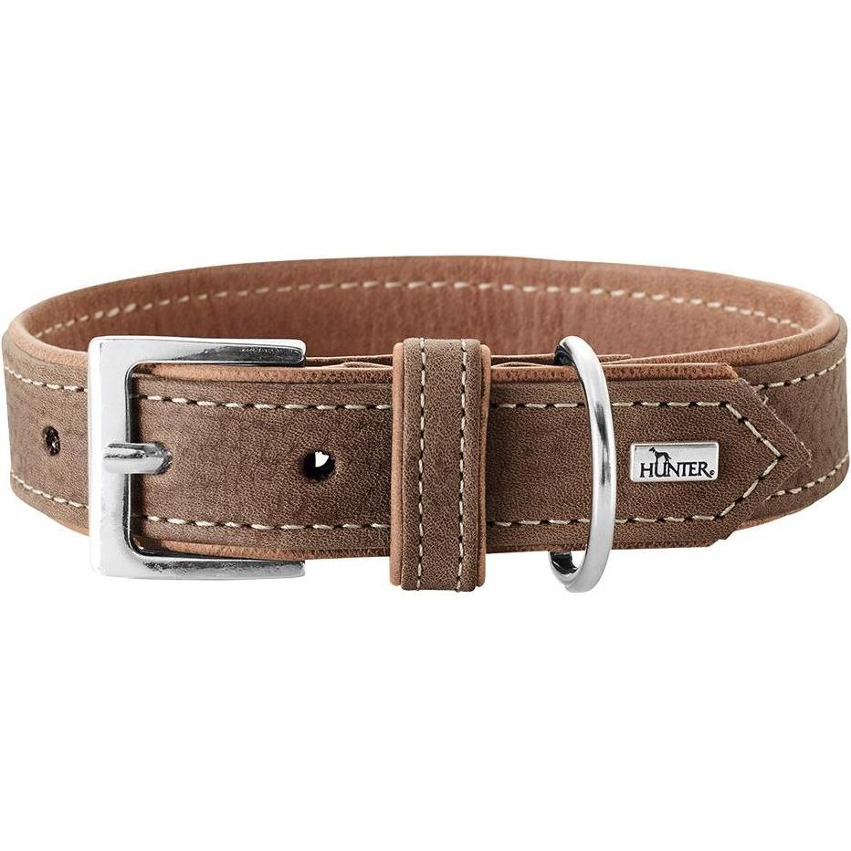 Hunter Porto (50, Hund, Allgemein), Halsband + Leine