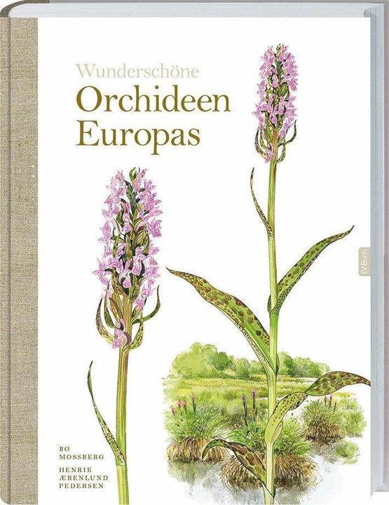 Produktbild Orchideen Europas (Deutsch, Henrik Pedersen, 2017)