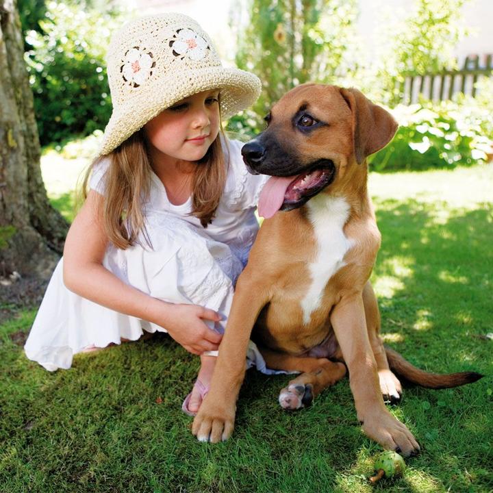 Image du produit Happy Dog NaturCroq pour chiots (Junior, 1 pcs, 15000 g)