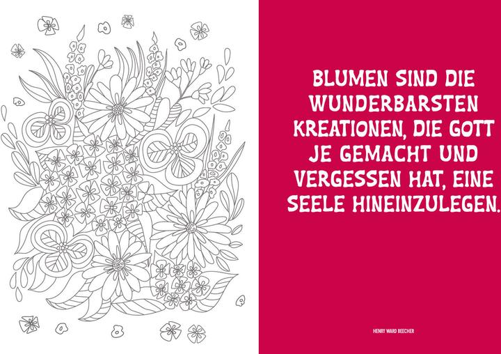 Produktbild Malbuch - Blumenwiese Mandala