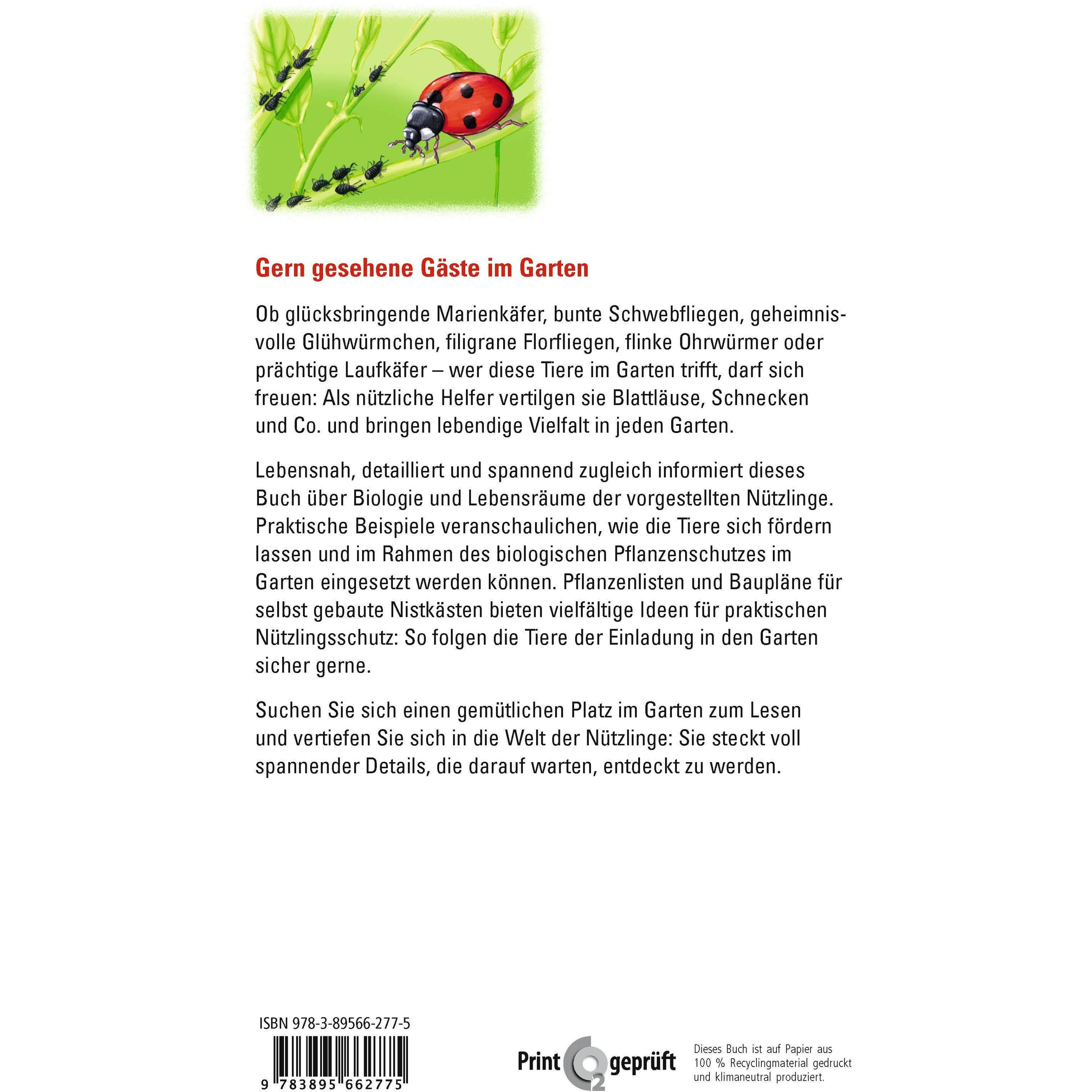 Thumbnail - Marienkäfer, Glühwürmchen, Florfliege & Co, Fachbücher von Thomas Lohrer