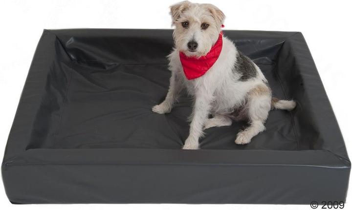 hundebett kaufen Ergonomisches Hundebett fr kleine Hunde luchs beige