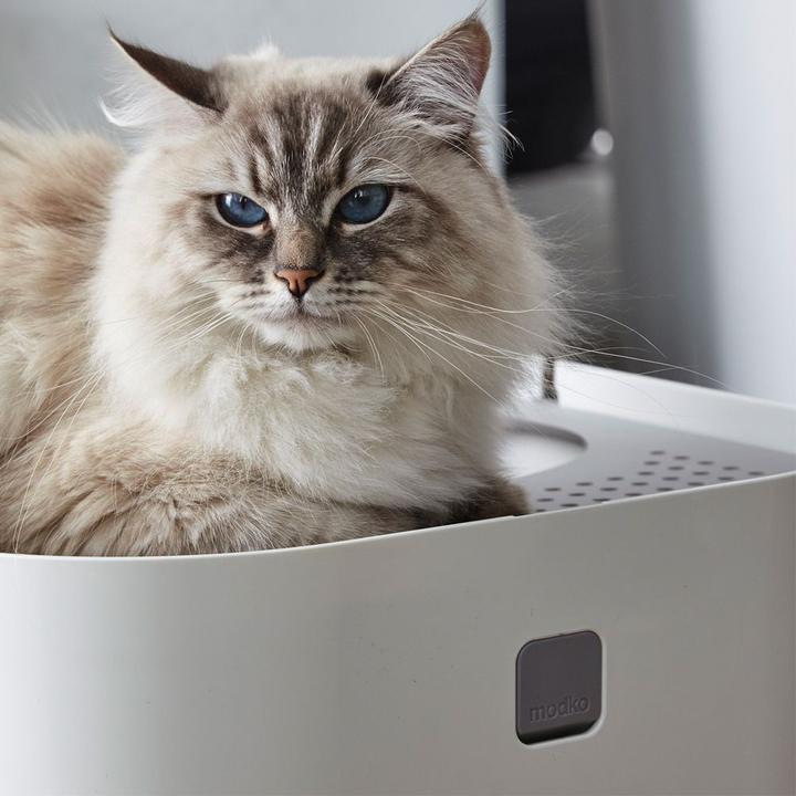 Produktbild Modko Katzentoilette Modkat