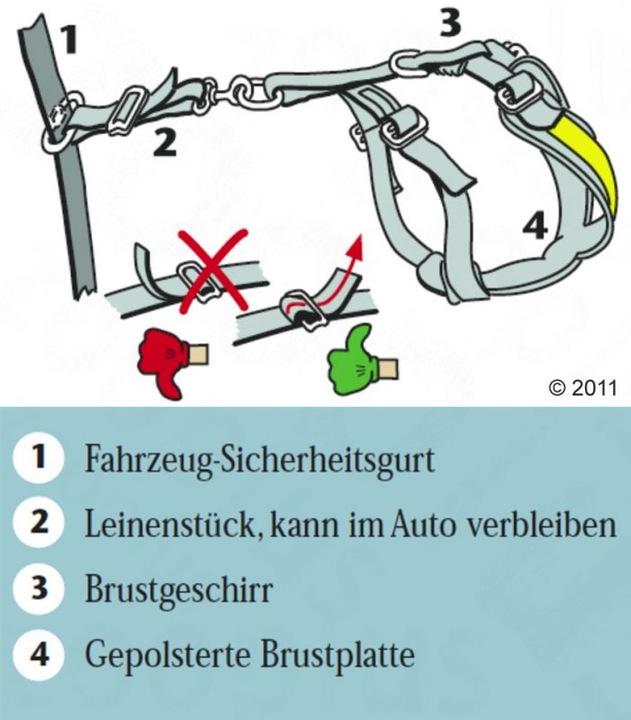 Produktbild Kleinmetall Allsafe (M, Hund, Arbeit, Hundesport, Jogging, Spazieren)