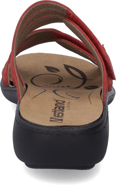 Actual product image Westland 16783-508 (41)