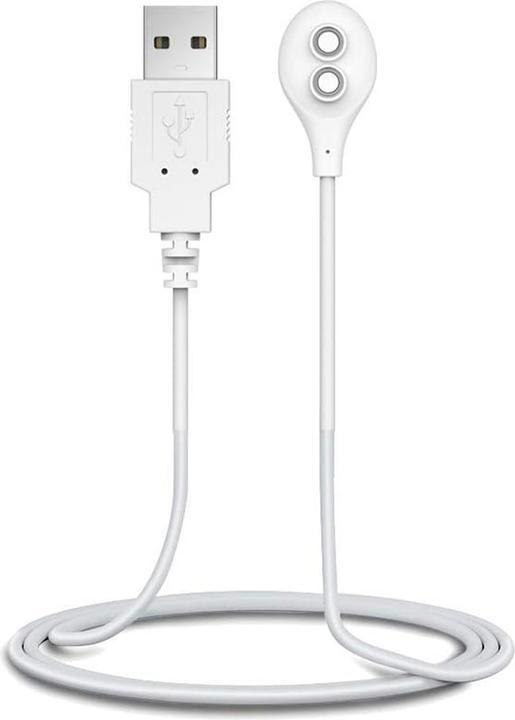Actual product image Lovense Magnetisches Ladegerät