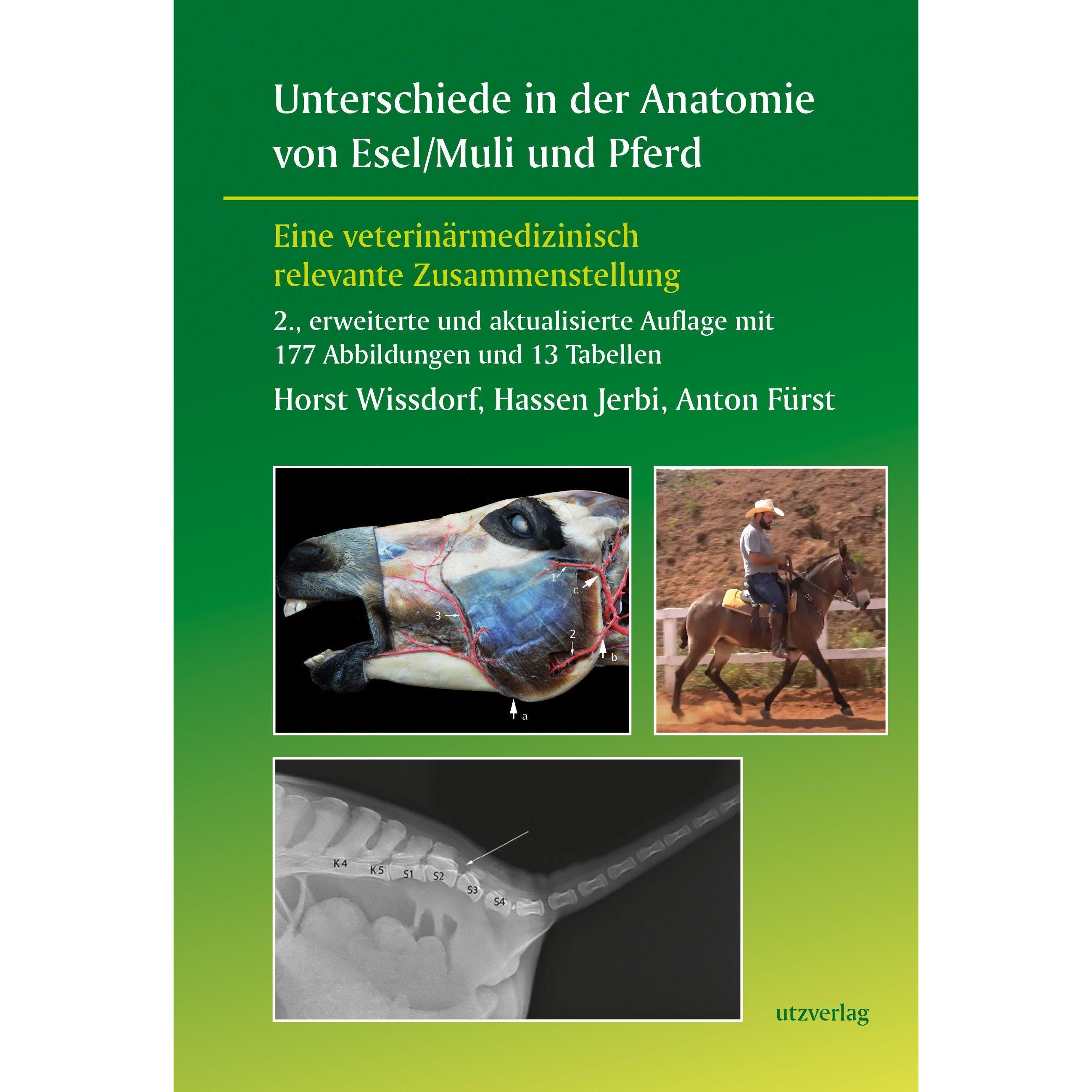 Thumbnail - Unterschiede in der Anatomie von Esel/Muli und Pferd, Fachbücher von Horst Wissdorf, Hassen Jerbi, Anton Fürst