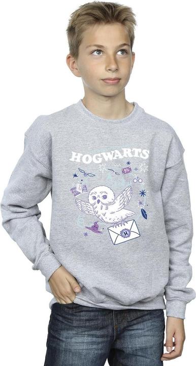 Produktbild Owl Letter From Hogwarts Sweatshirt Jungen (152, 158)