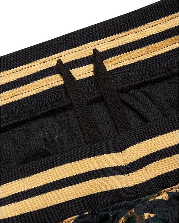 Image du produit Under Armour Curry Mesh Short 1 (S)