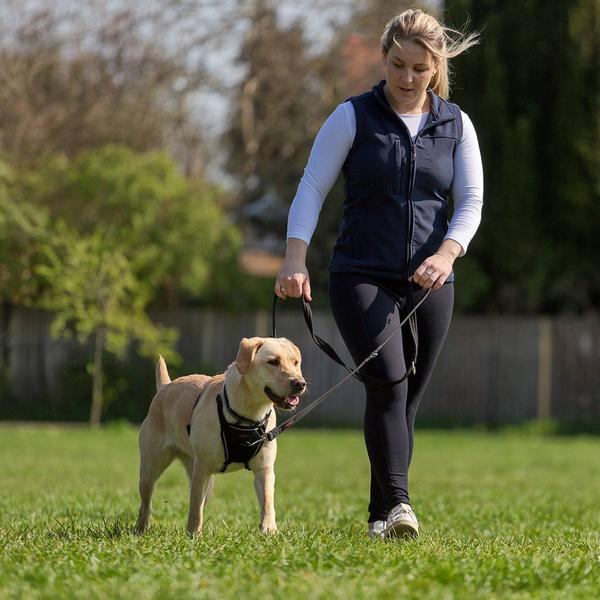 Produktbild Company of Animals Halti No Pull Antizug S Harness (S, Hund, Hundesport)