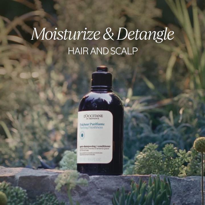 Actual product image L'Occitane Aromachologie Pure Freshness Conditioner 250 ml (250 ml)