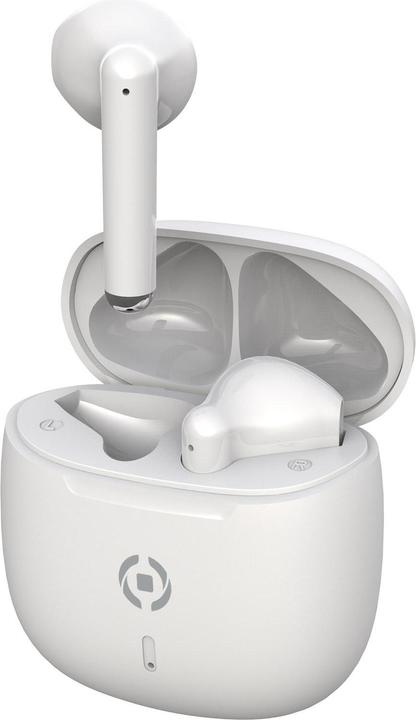 Celly Earbuds Buz2wh White (40 h, Kabellos)