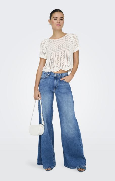 Image du produit Only Onlnola Life S/S Pullover Knt Noos (M)