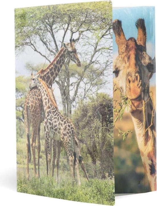 Actual product image HERMA A4 motif folder (A4, 1 x)