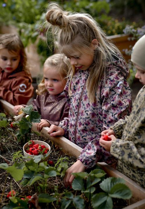 Produktbild Mikk-Line Softshell Jacket (104)