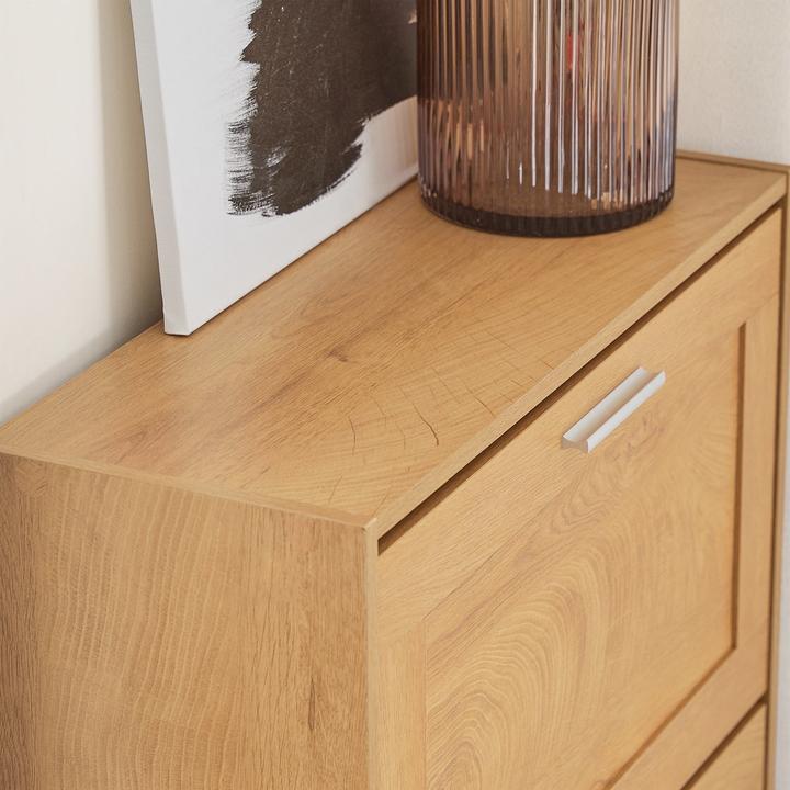 Immagine prodotto SoBuy Ribaltina per scarpe (60 x 79 x 23 cm)