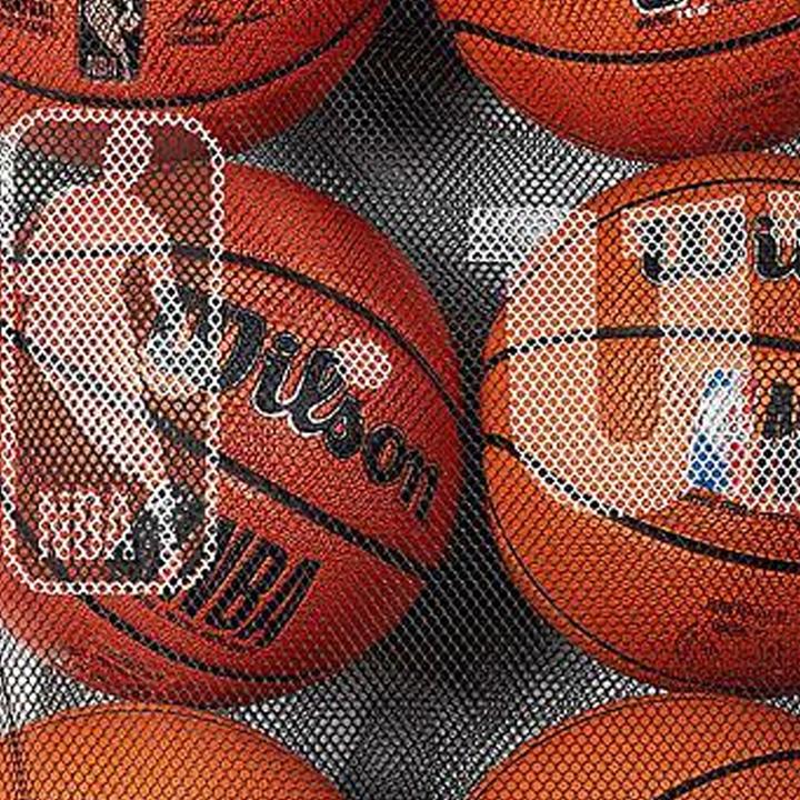 Produktbild Wilson Balltasche NBA Netzmaterial
